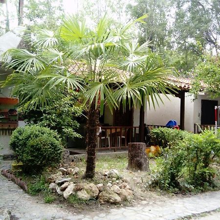 Camping Elizabeth Hotel Kalyvia Varikou Exterior foto